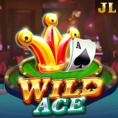 Wild Ace - Nustar Casino App